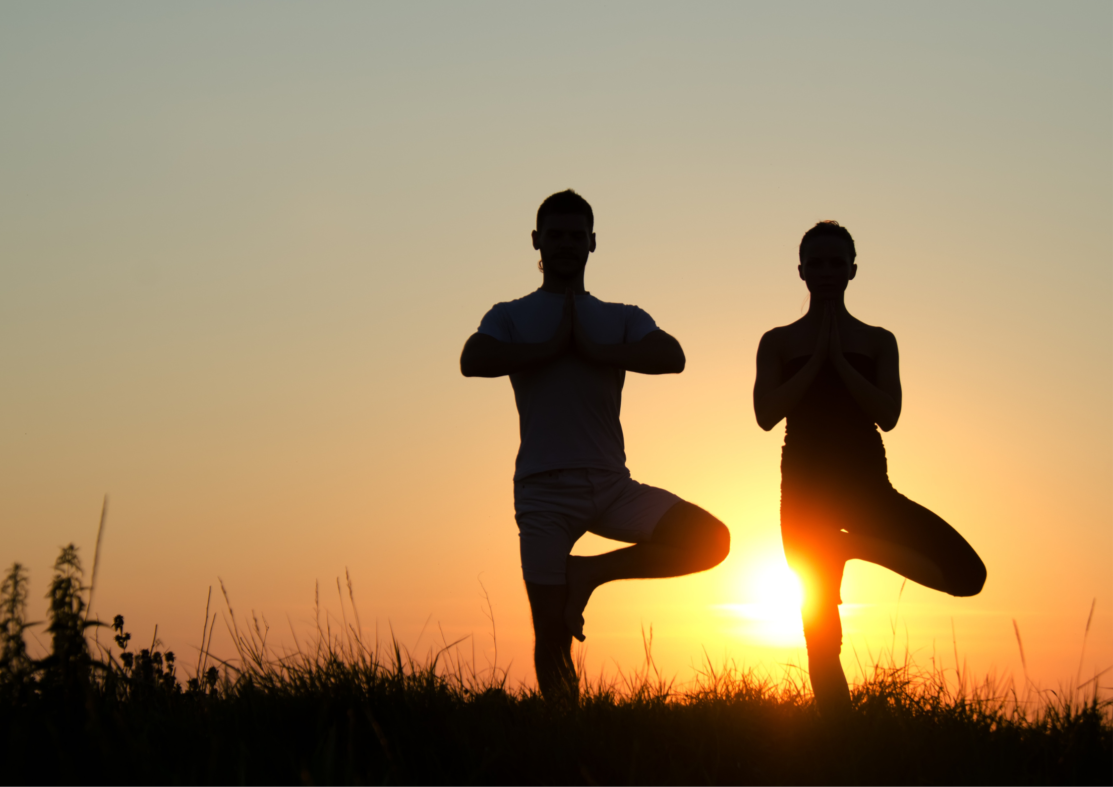 Role of Yoga in Students