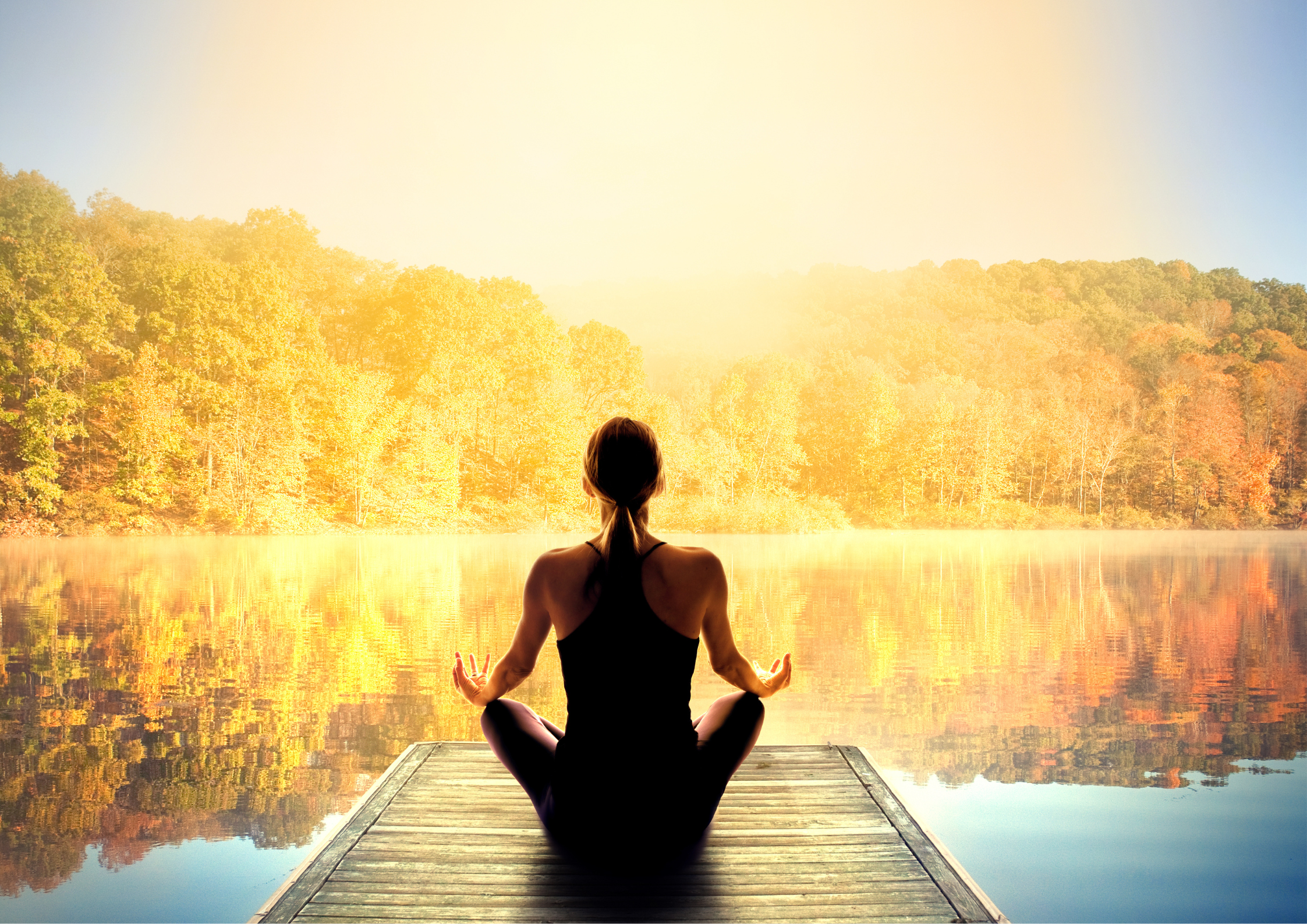 Role of Yoga in Students
