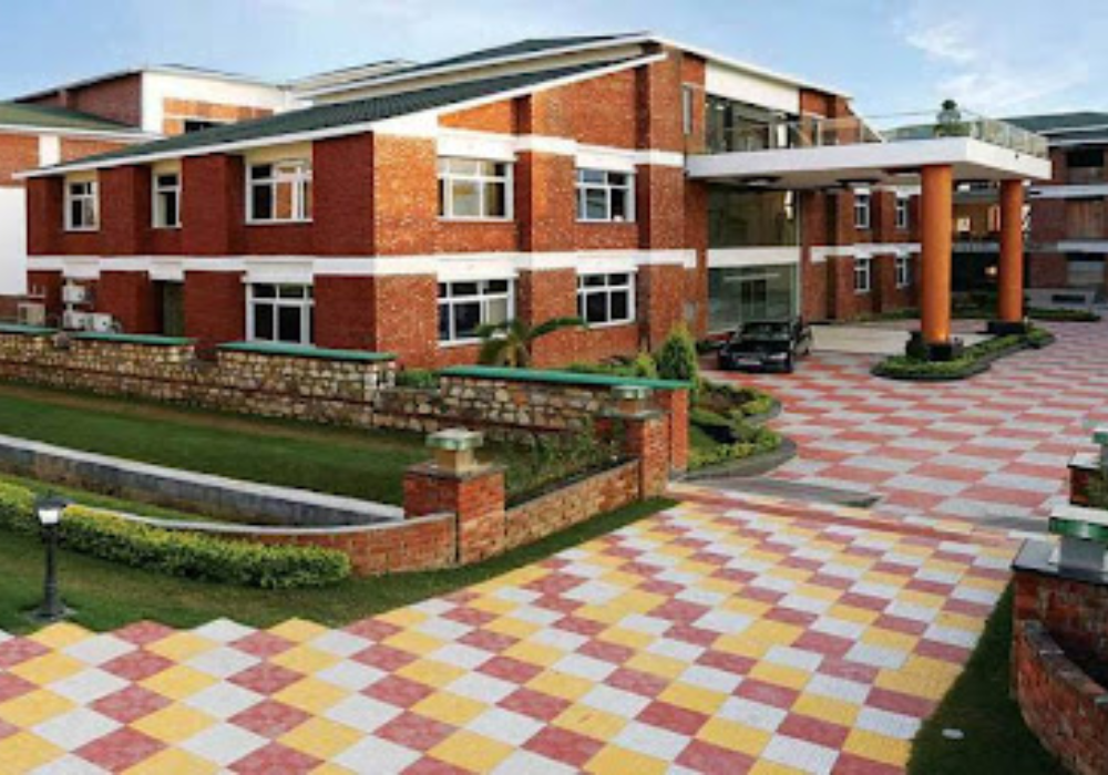 Tula's International School