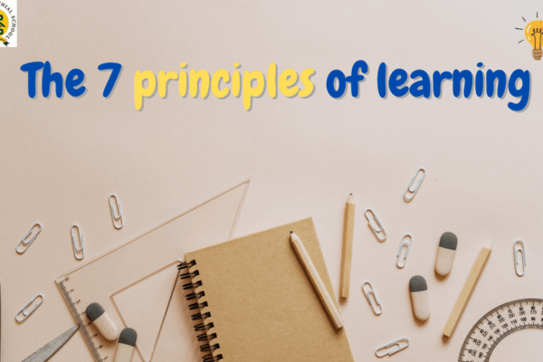 What Are the 7 Principles of Learning? what are the 7 principles of learning