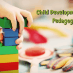 Role of Child Development and Pedagogy in School Life
