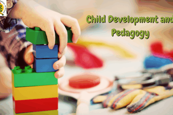 Role of Child Development and Pedagogy in School Life