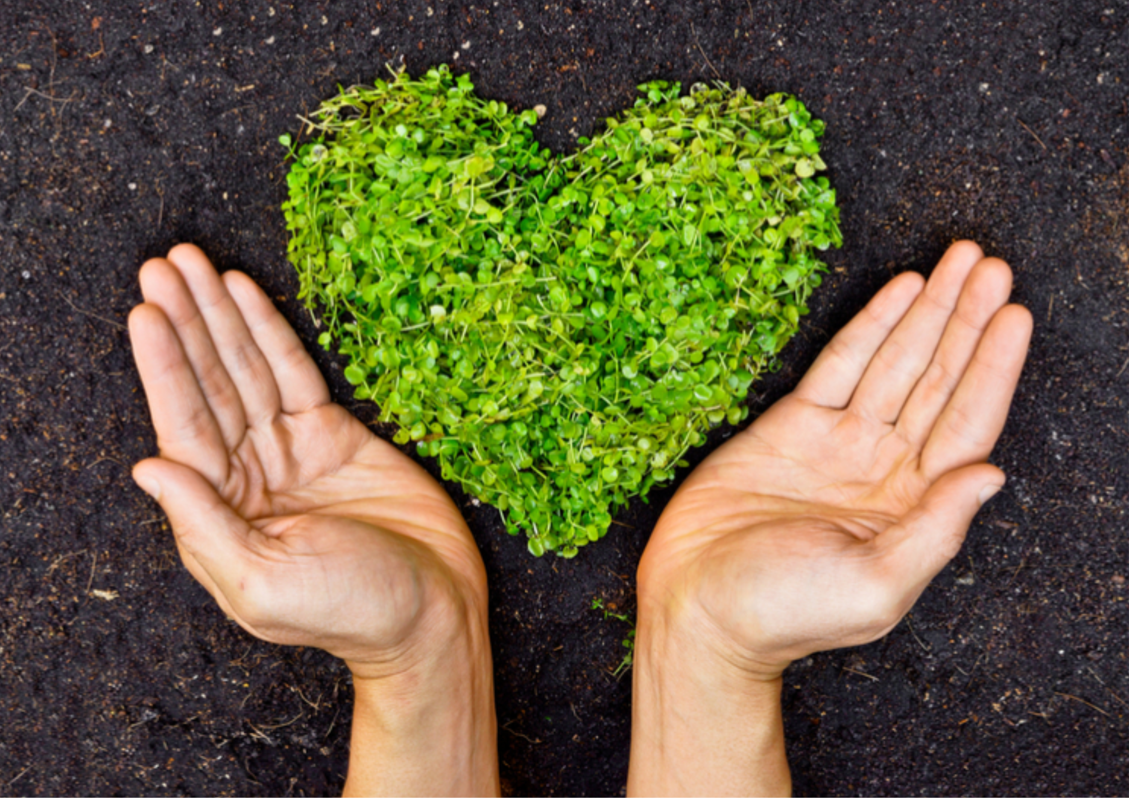 Eco-Friendly Initiatives