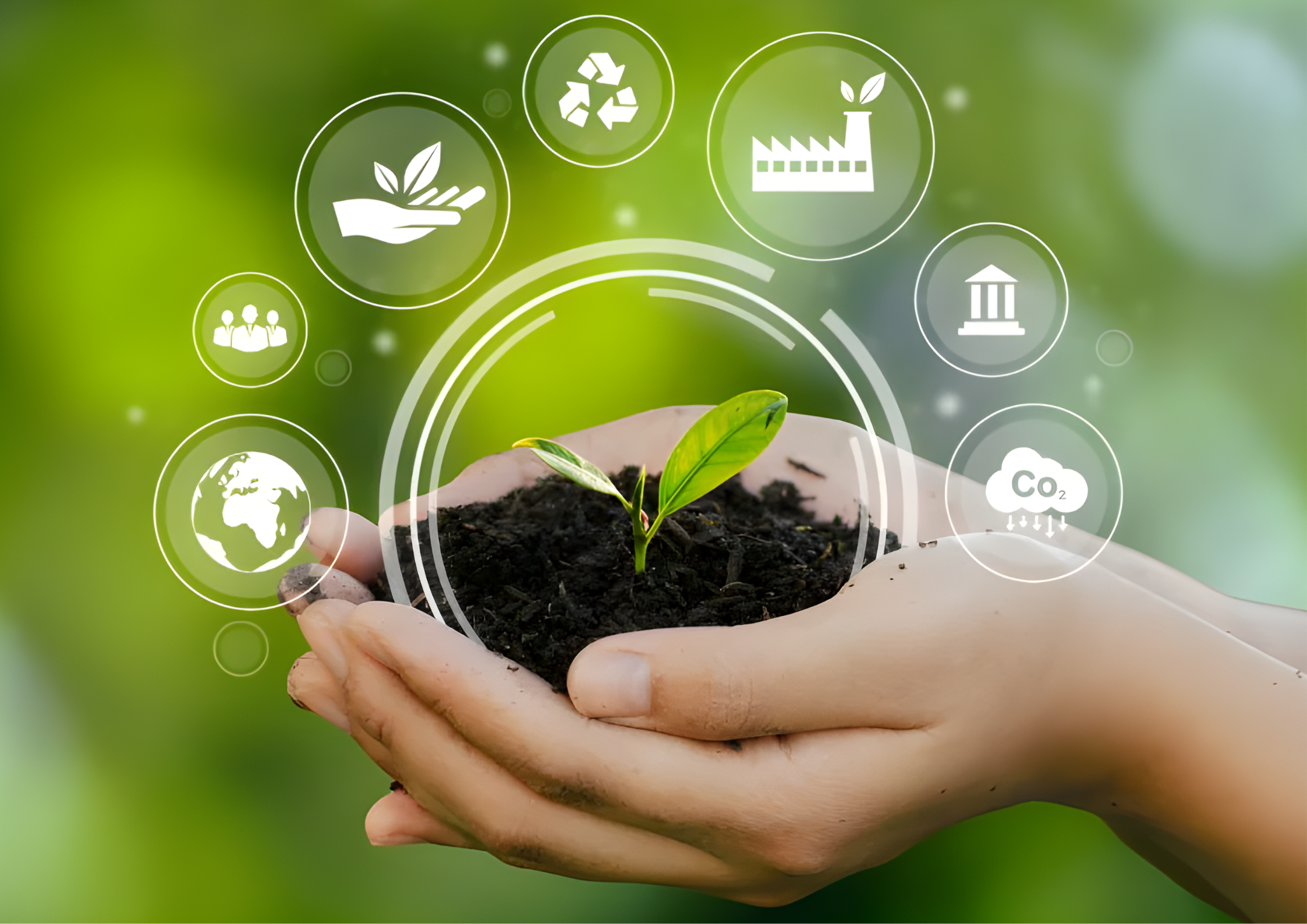 Eco-Friendly Initiatives