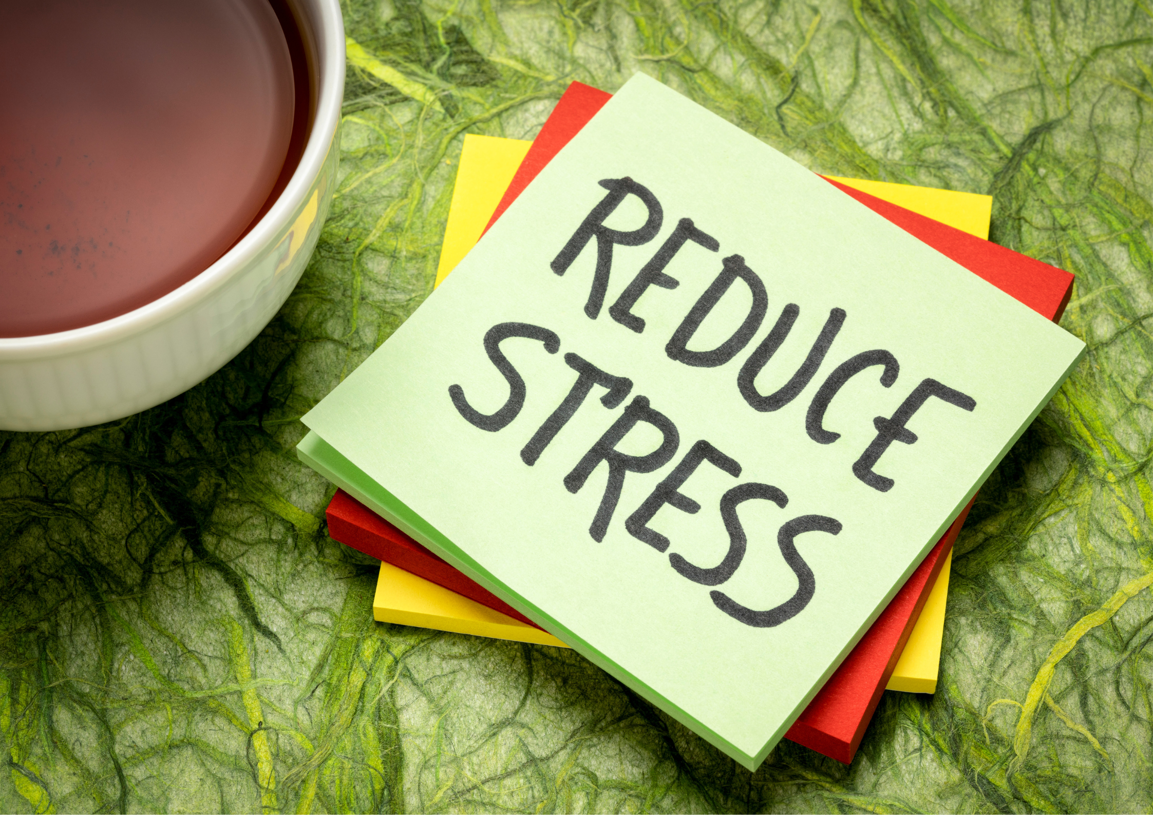 Reduce Exam Stress