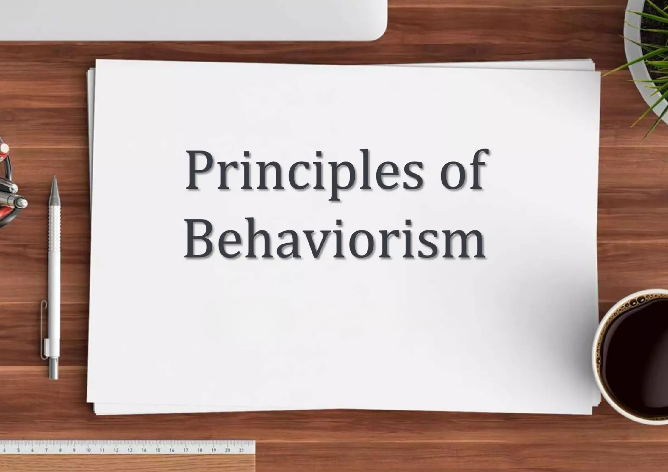 Behaviorist Learning Theory