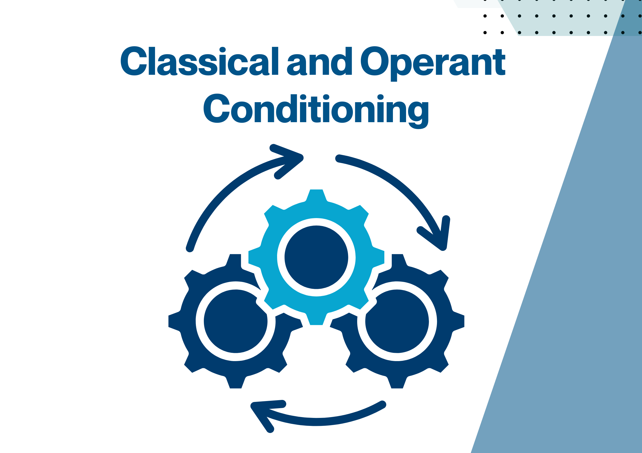 Behaviorist Learning Theory