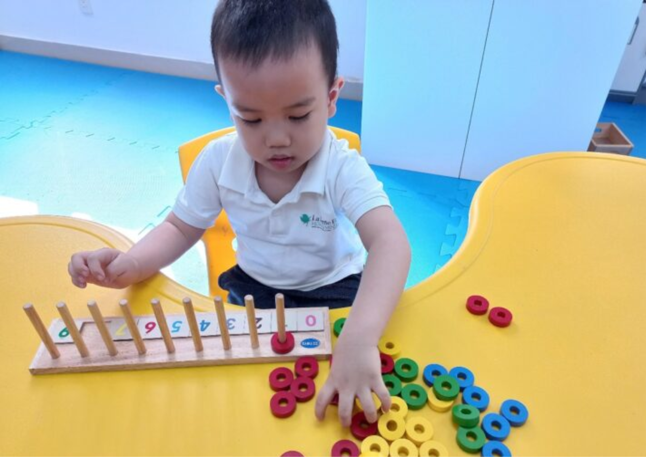 Cognitive Development Activities