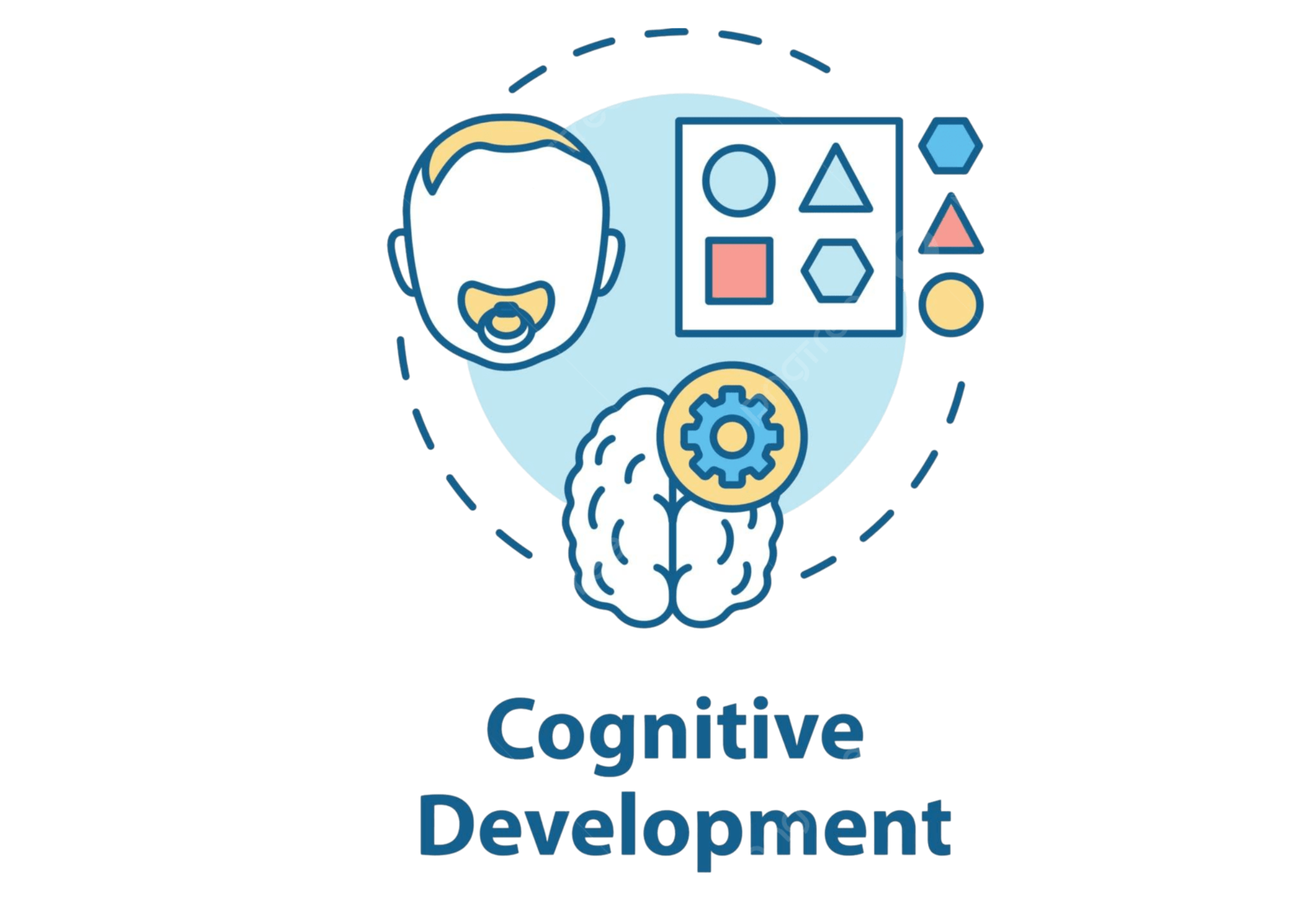 Cognitive Development Activities