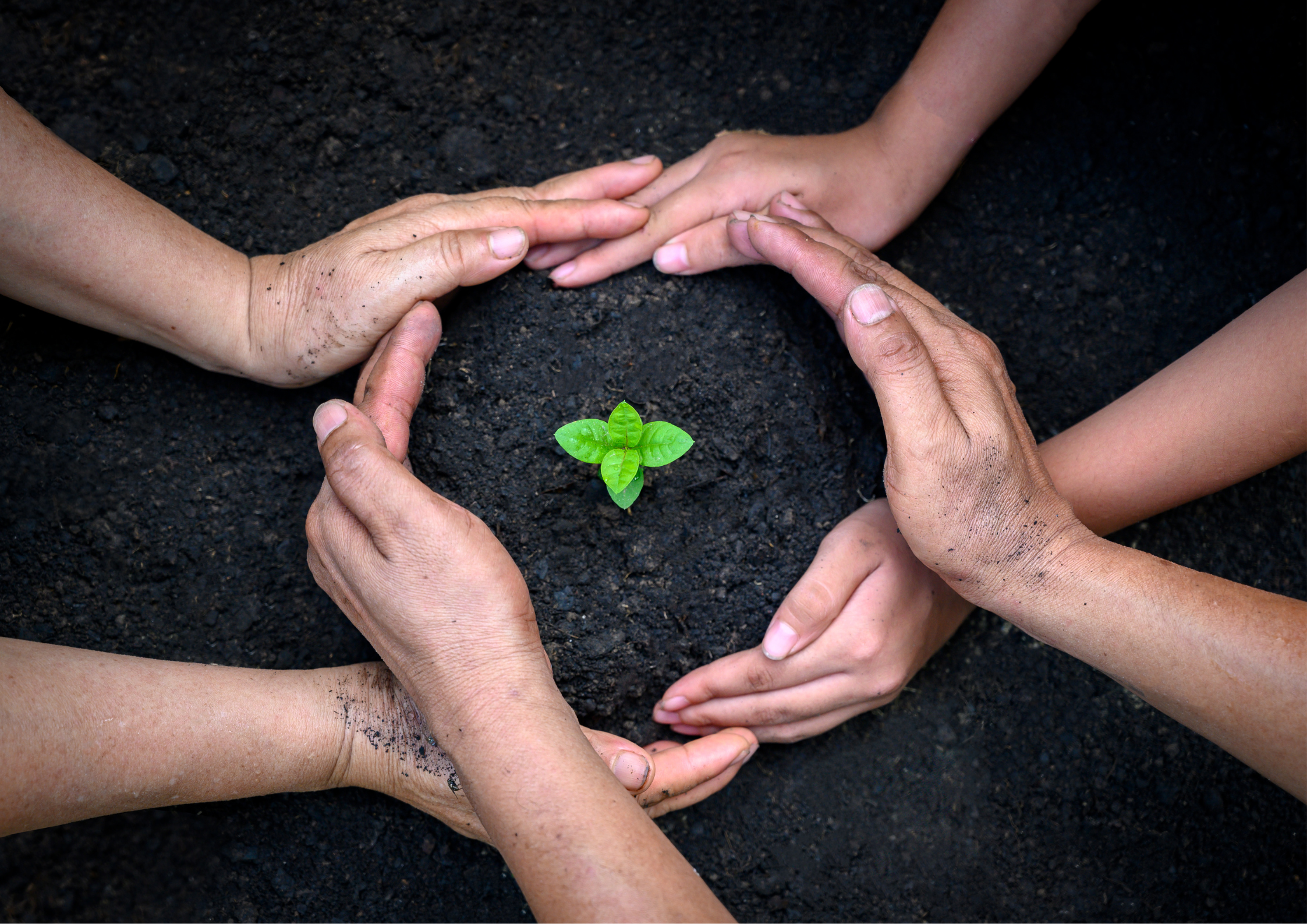 Environment Awareness