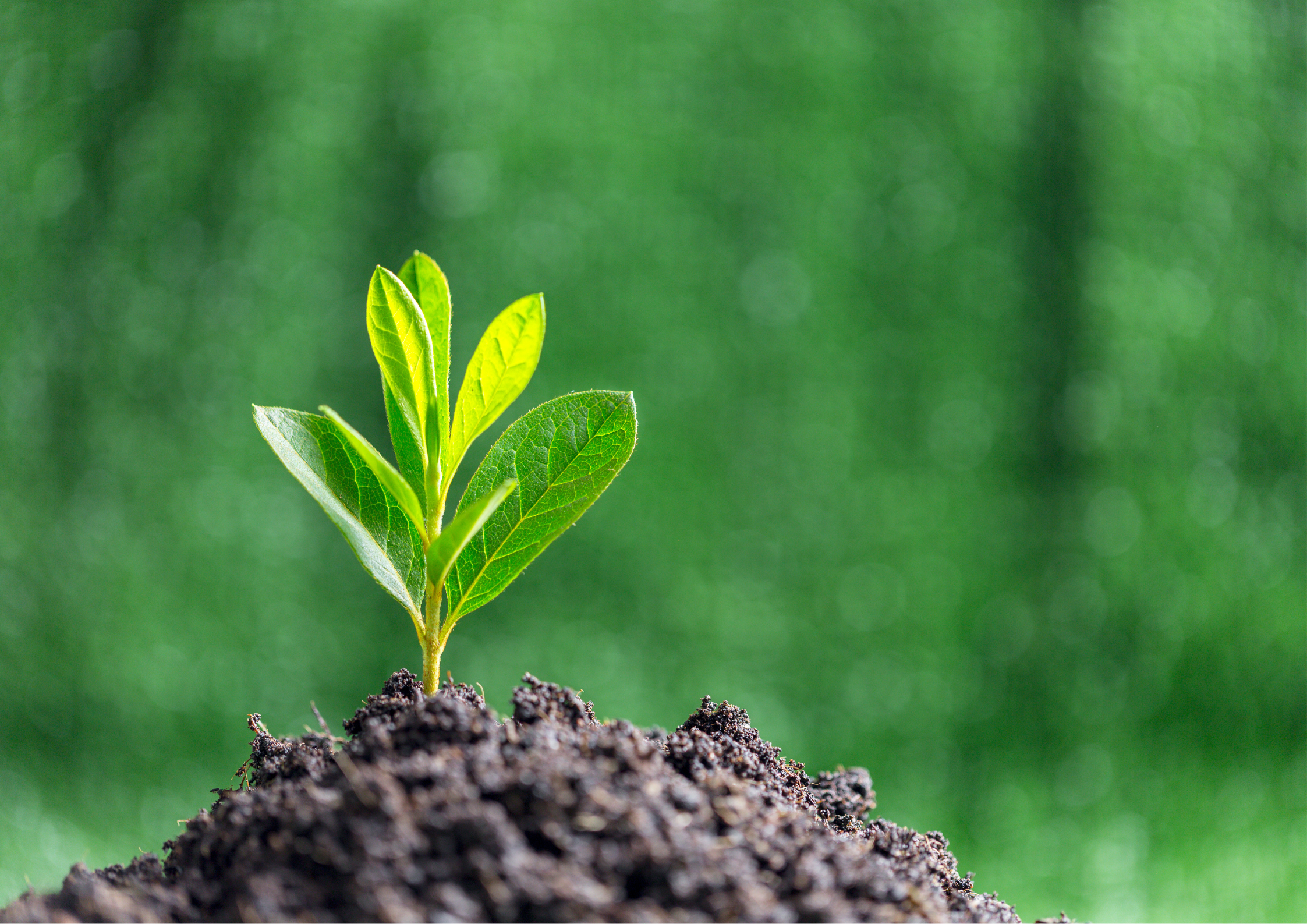 Environment Awareness